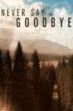 Watch Never Say Goodbye Goojara