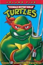 Watch Teenage Mutant Ninja Turtles Goojara