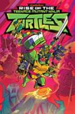 Watch Rise of the Teenage Mutant Ninja Turtles Goojara