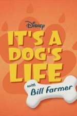 Watch It\'s a Dog\'s Life with Bill Farmer Goojara
