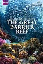 Watch Great Barrier Reef with David Attenborough Goojara