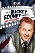 Watch The Mickey Rooney Show Goojara