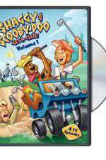 Watch Shaggy & Scooby-Doo Get a Clue Goojara