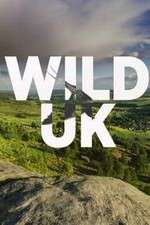 Watch Wild UK Goojara