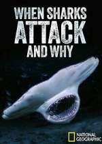Watch When Sharks Attack... And Why Goojara