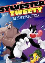 Watch The Sylvester & Tweety Mysteries Goojara