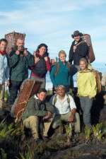 Watch Out Of The Wild: Venezuela Goojara