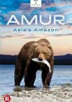 Watch Amur Asia's Amazon Goojara