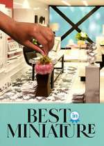 Watch Best in Miniature Goojara