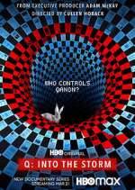 Watch Q: Into the Storm Goojara