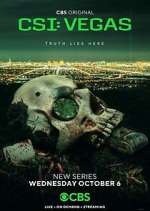 Watch CSI: Vegas Goojara