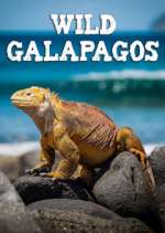 Watch Wild Galapagos Goojara