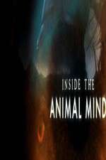 Watch Inside the Animal Mind Goojara