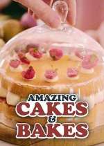 Watch Amazing Cakes & Bakes Goojara
