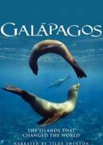 Watch Galapagos Goojara