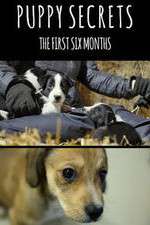 Watch Puppy Secrets: The First Six Months Goojara