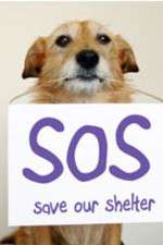 Watch Save Our Shelter Goojara
