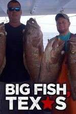 Watch Big Fish Texas Goojara