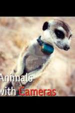 Watch Animals with Cameras Goojara
