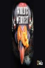 Watch National Geographic Worlds weirdest Goojara