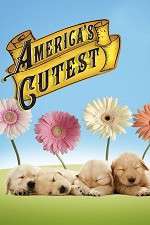 Watch America's Cutest Goojara