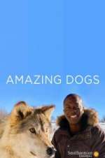 Watch Amazing Dogs Goojara