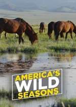 Watch America's Wild Seasons Goojara