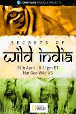 Watch Secrets of Wild India Goojara