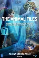 Watch The Animal Files Goojara