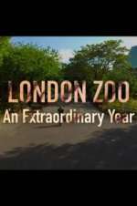 Watch London Zoo: An Extraordinary Year Goojara