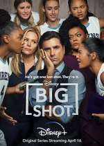Watch Big Shot Goojara