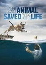 Watch An Animal Saved My Life Goojara
