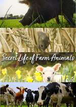 Watch Secret Life of Farm Animals Goojara