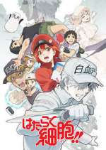 Watch Cells at Work! Goojara