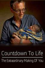 Watch Countdown to Life The Extraordinary Making of You Goojara