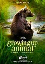 Watch Growing Up Animal Goojara
