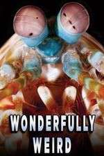 Watch Wonderfully Weird Goojara
