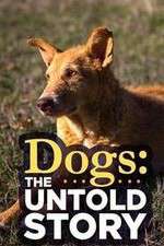 Watch Dogs: The Untold Story Goojara