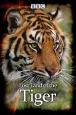 Watch Lost Land of the Tiger Goojara