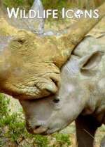 Watch Wildlife Icons Goojara