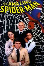 Watch The Amazing Spider-Man Goojara