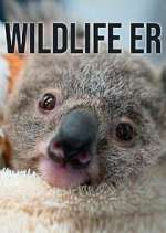Watch Wildlife ER Goojara