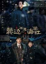 Watch Winter Begonia Goojara