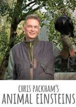 Watch Chris Packham's Animal Einsteins Goojara