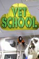 Watch Vet School Goojara