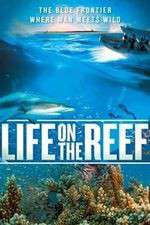Watch Life on the Reef Goojara