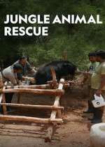 Watch Jungle Animal Rescue Goojara