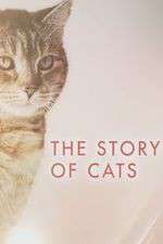 Watch The Story of Cats Goojara