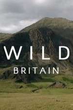 Watch Wild Britain Goojara