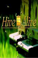 Watch Hive Alive Goojara